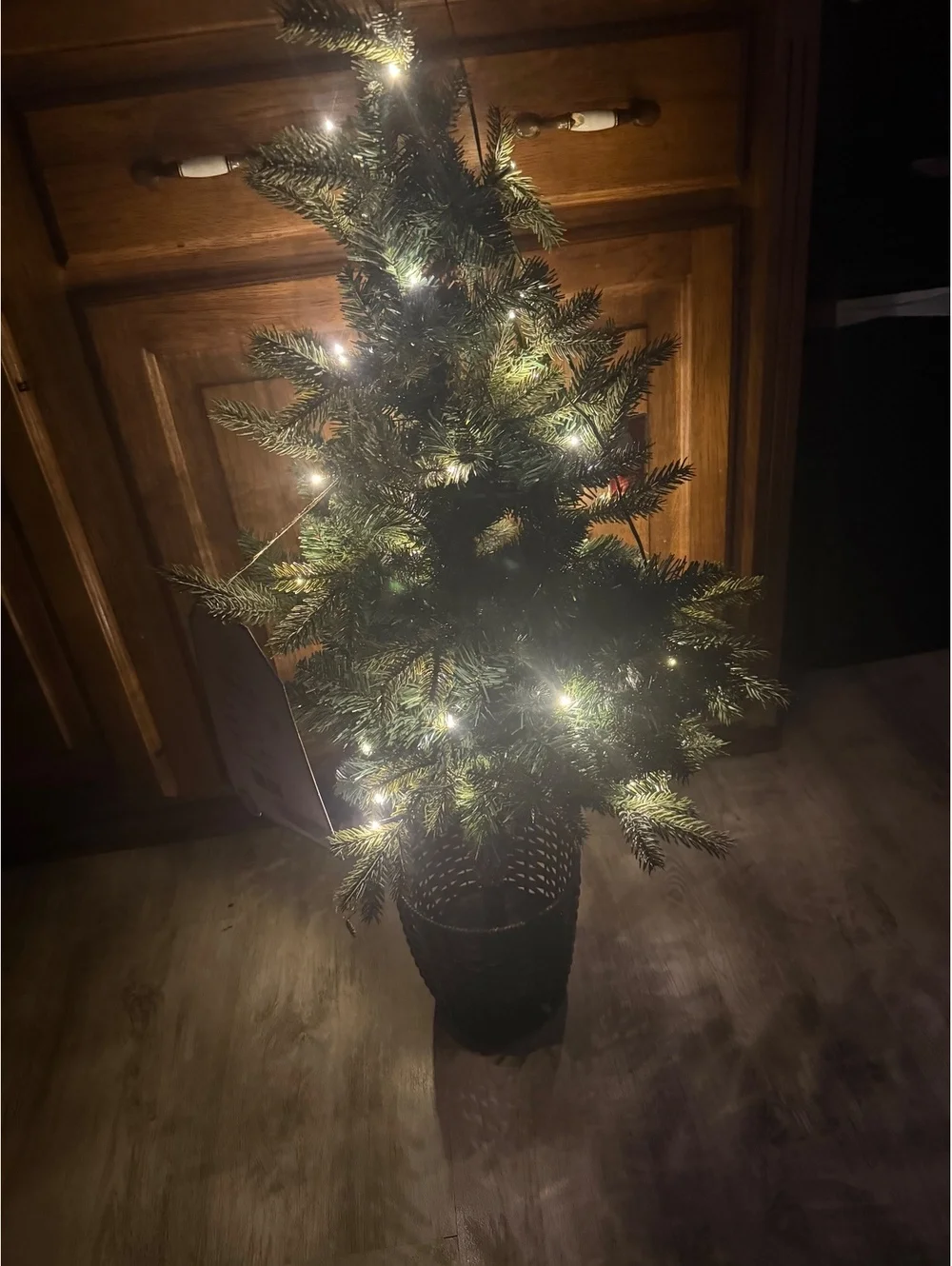Potted balsam fir lit tree